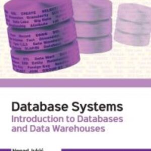 Database Systems Introduction to Databases and Data Warehouses 2nd Edition